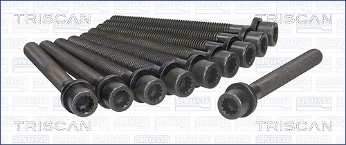 Triscan Zylinderkopfschraubensatz [Hersteller-Nr. 98-8501] für Skoda, Aro, Porsche, Moskvich, Ford, Audi, VW, Seat