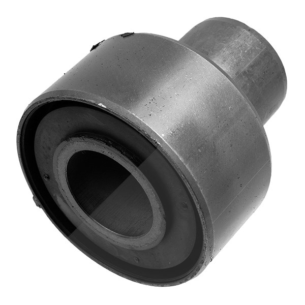 Lemförder Lagerung, Achskörper [Hersteller-Nr. 2951801] für Renault, Ford