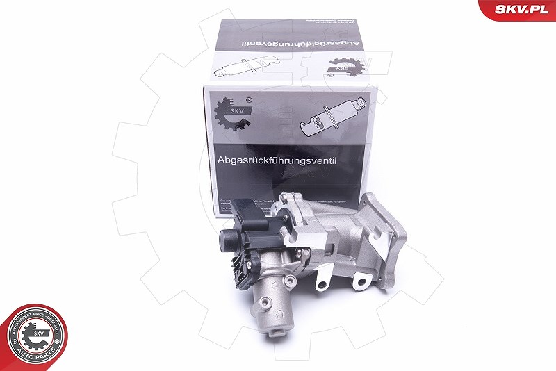 Esen Skv AGR-Ventil [Hersteller-Nr. 14SKV171] für Lancia, Citroën, Land Rover, Peugeot, Mitsubishi, Ford, Fiat, Jaguar