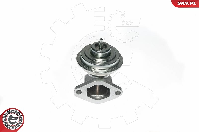 Esen Skv AGR-Ventil [Hersteller-Nr. 14SKV049] für Mg, Rover