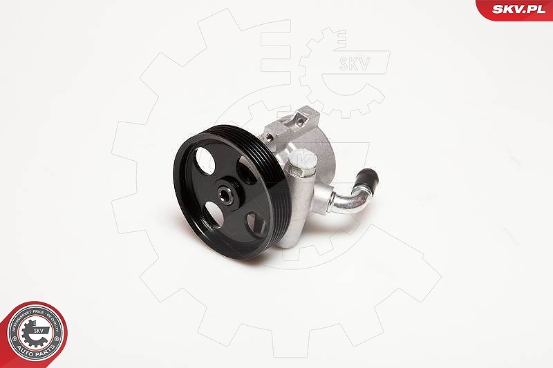 Esen Skv Hydraulikpumpe, Lenkung [Hersteller-Nr. 10SKV025] für Peugeot, Citroën