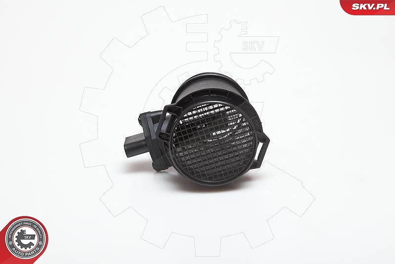 Esen Skv Luftmassenmesser [Hersteller-Nr. 07SKV079] für Seat, Skoda, VW, Audi