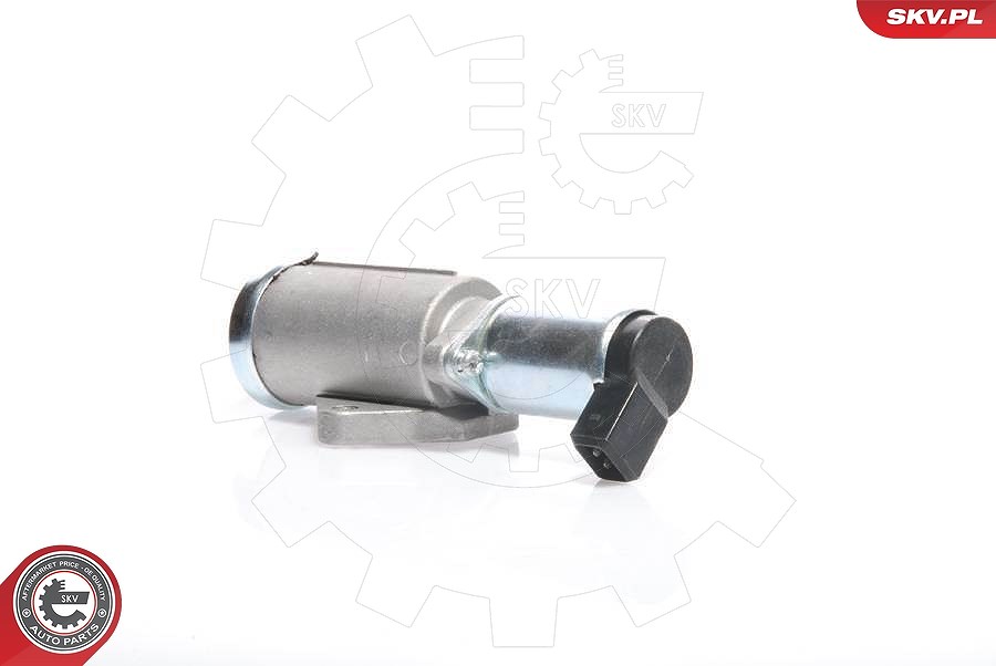 Esen Skv Leerlaufregelventil, Luftversorgung [Hersteller-Nr. 08SKV219] für Renault, Ford