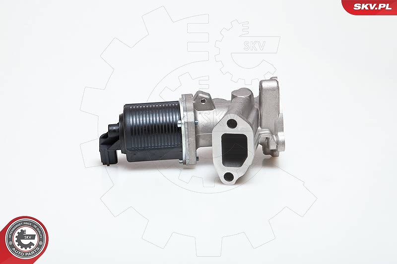Esen Skv AGR-Ventil [Hersteller-Nr. 14SKV014] für Lancia, Fiat, Vauxhall, Suzuki, Opel