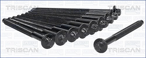 Triscan Zylinderkopfschraubensatz [Hersteller-Nr. 98-5527] für Ds, Mitsubishi, Santana, Citroën, Suzuki, Toyota, Mazda, Volvo, Ford, Opel, Vauxhall, P