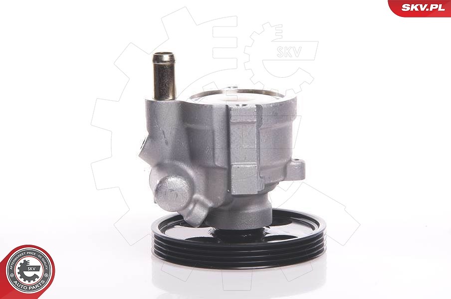 Esen Skv Hydraulikpumpe, Lenkung [Hersteller-Nr. 10SKV146] für Dacia, Renault