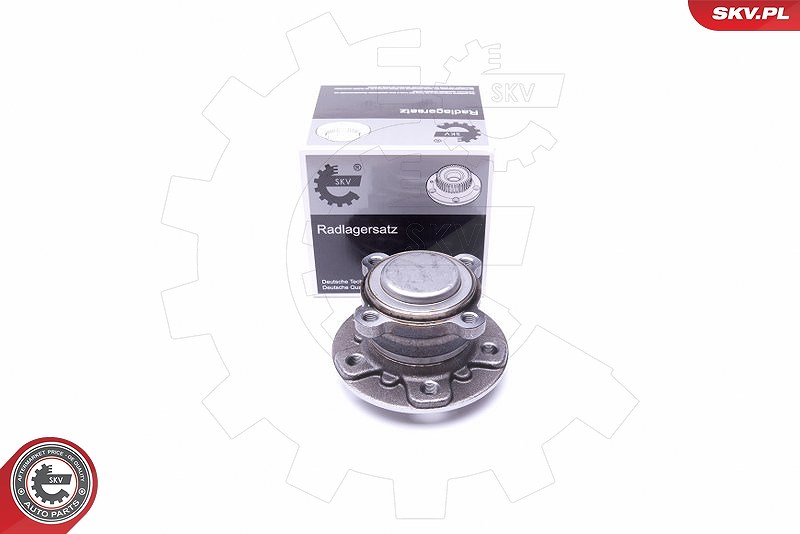 Esen Skv Radlagersatz [Hersteller-Nr. 29SKV303] für Mini, BMW
