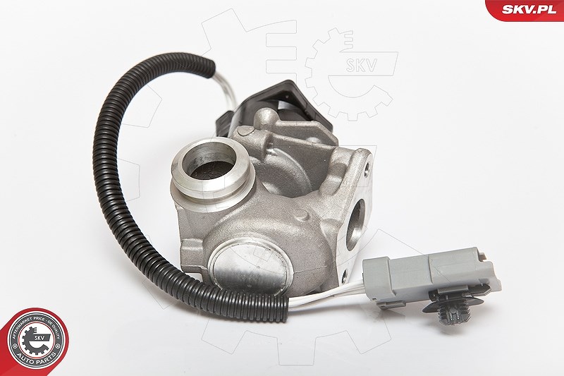 Esen Skv AGR-Ventil [Hersteller-Nr. 14SKV071] für Volvo, Ford