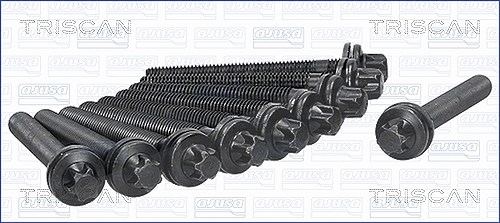 Triscan Zylinderkopfschraubensatz [Hersteller-Nr. 98-6500] für Saab, Baic