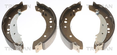 Triscan Bremsbackensatz [Hersteller-Nr. 810025005] für Renault, Dacia