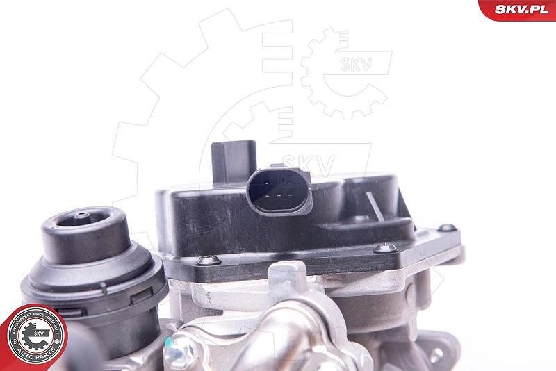 Esen Skv AGR-Ventil [Hersteller-Nr. 14SKV153] für Seat, Audi