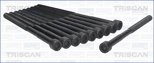 Triscan Zylinderkopfschraubensatz [Hersteller-Nr. 98-7512] für Great Wall, Toyota, Kia, Hyundai, Haval