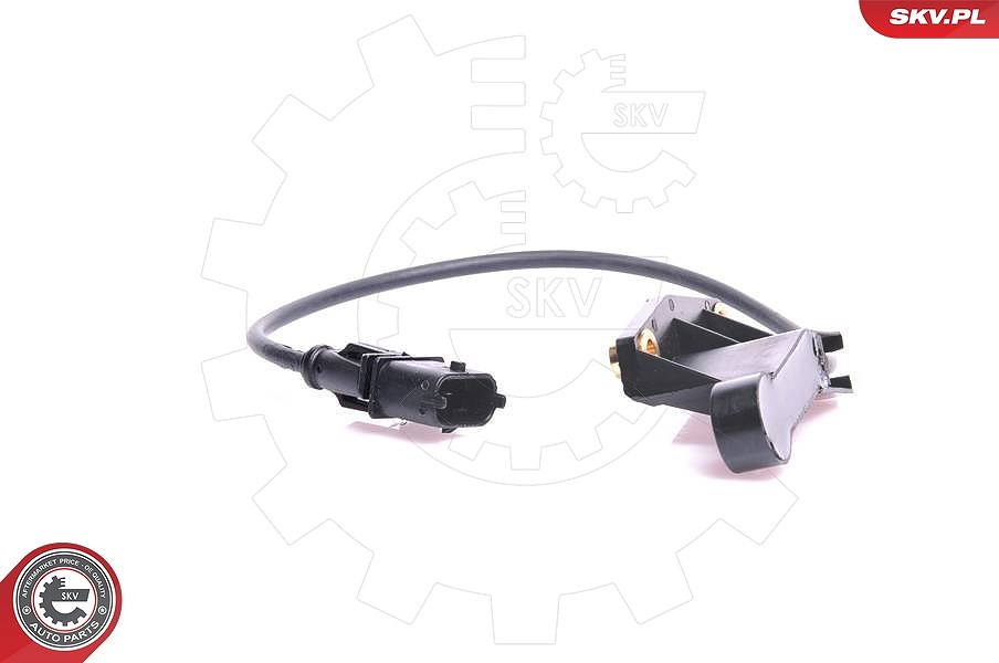 Esen Skv Sensor, Nockenwellenposition [Hersteller-Nr. 17SKV211] für Vauxhall, Saab, Opel