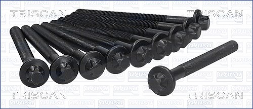 Triscan Zylinderkopfschraubensatz [Hersteller-Nr. 98-6017] für Opel, Vauxhall, Mercedes-Benz, Nissan, Fiat, Renault