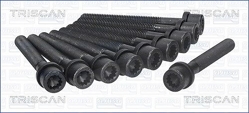Triscan Zylinderkopfschraubensatz [Hersteller-Nr. 98-8500] für Audi, Aro, Trabant, VW, Seat