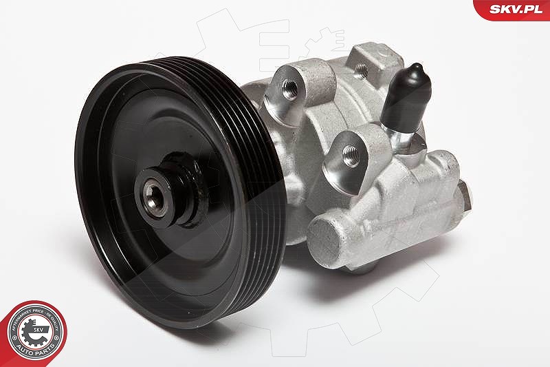 Esen Skv Hydraulikpumpe, Lenkung [Hersteller-Nr. 10SKV068] für Renault