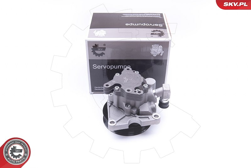 Esen Skv Hydraulikpumpe, Lenkung [Hersteller-Nr. 10SKV273] für Mercedes-Benz