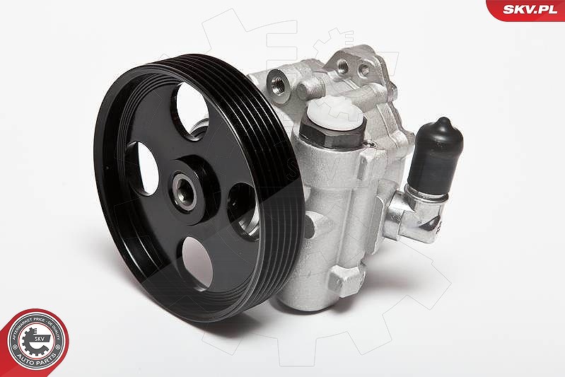 Esen Skv Hydraulikpumpe, Lenkung [Hersteller-Nr. 10SKV004] für Dacia, Renault, Citroën, Fiat, Lada, Peugeot