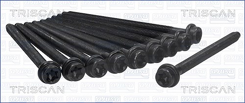 Triscan Zylinderkopfschraubensatz [Hersteller-Nr. 98-4001] für Morgan, Caterham, Mazda, Ford, Westfield, Volvo