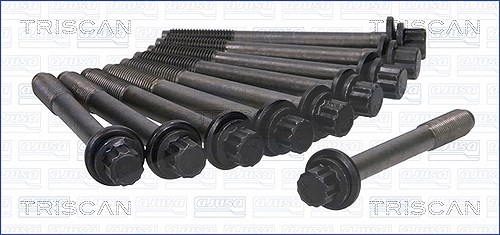 Triscan Zylinderkopfschraubensatz [Hersteller-Nr. 98-4304] für Hyundai, Kia, Great Wall