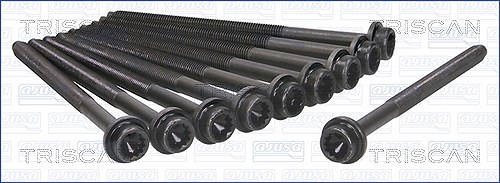 Triscan Zylinderkopfschraubensatz [Hersteller-Nr. 98-8520] für Seat, Audi, VW, Skoda
