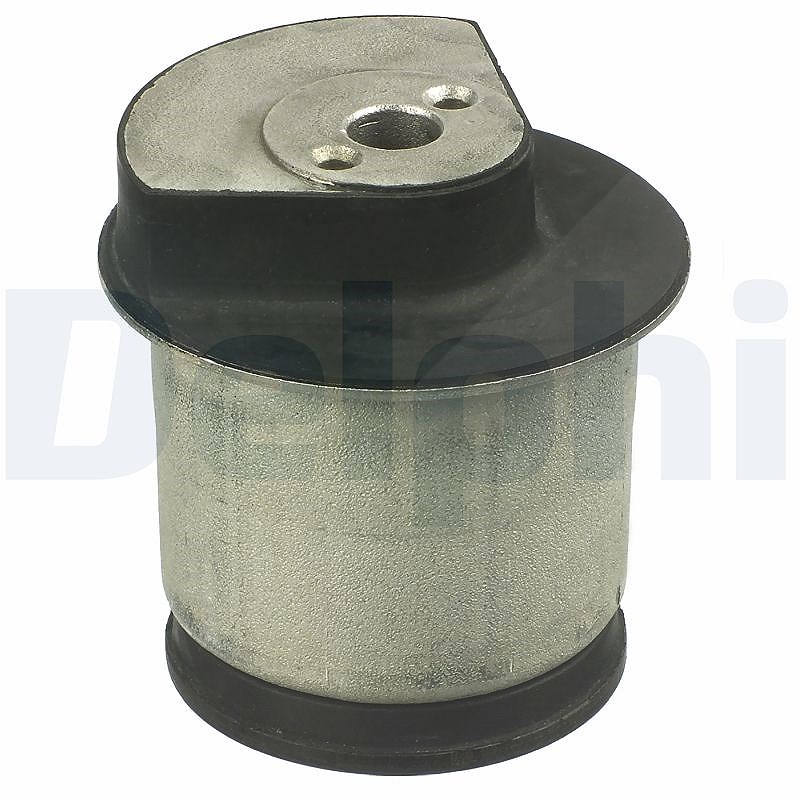 Delphi Lagerung, Achskörper [Hersteller-Nr. TD1154W] für Vauxhall, Opel