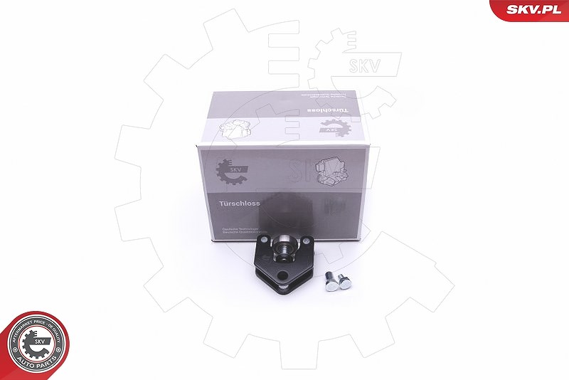 Esen Skv Rollenführung, Schiebetür [Hersteller-Nr. 96SKV731] für Renault, Vauxhall, Opel