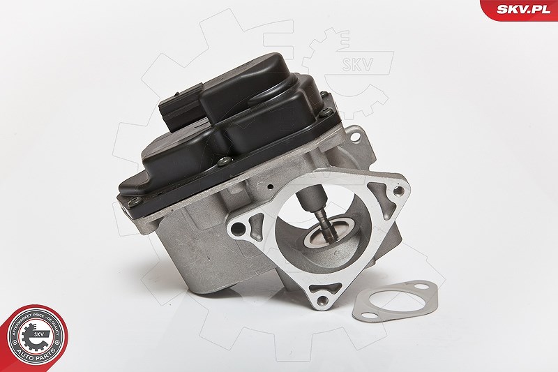 Esen Skv AGR-Ventil [Hersteller-Nr. 14SKV085] für Seat, Audi, VW, Skoda