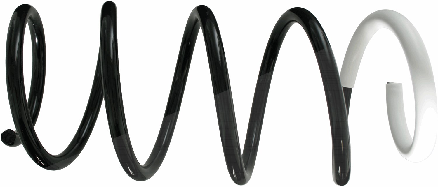Sachs Fahrwerksfeder [Hersteller-Nr. 993596] für Renault