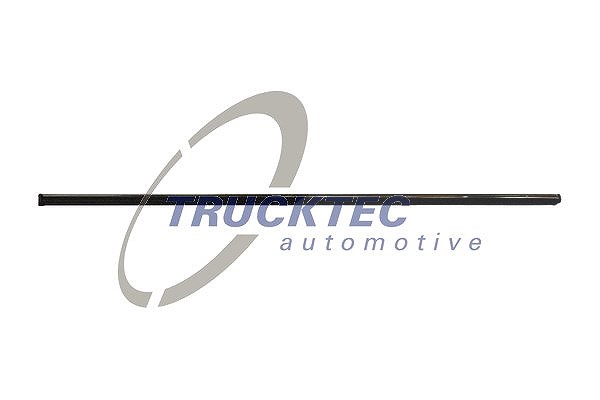 Trucktec Automotive Zier-/Schutzleiste, Tür [Hersteller-Nr. 02.52.105] für Mercedes-Benz