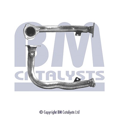 Bm Catalysts Hosenrohr [Hersteller-Nr. BM70001] für Peugeot, Citroën