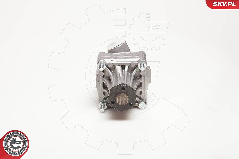Esen Skv Hydraulikpumpe, Lenkung [Hersteller-Nr. 10SKV087] für Alfa Romeo