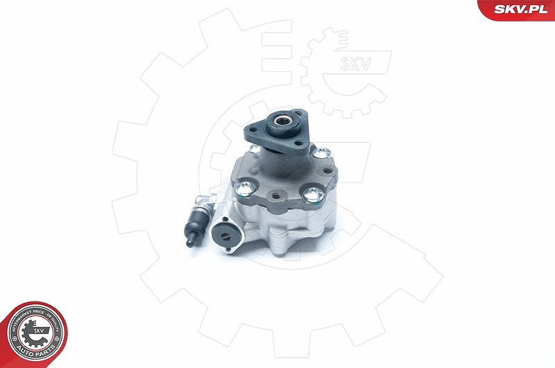 Esen Skv Hydraulikpumpe, Lenkung [Hersteller-Nr. 10SKV186] für Audi