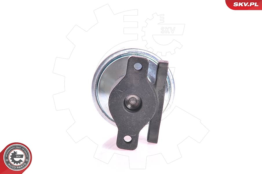 Esen Skv AGR-Ventil [Hersteller-Nr. 14SKV005] für Audi, VW, Ford, Seat
