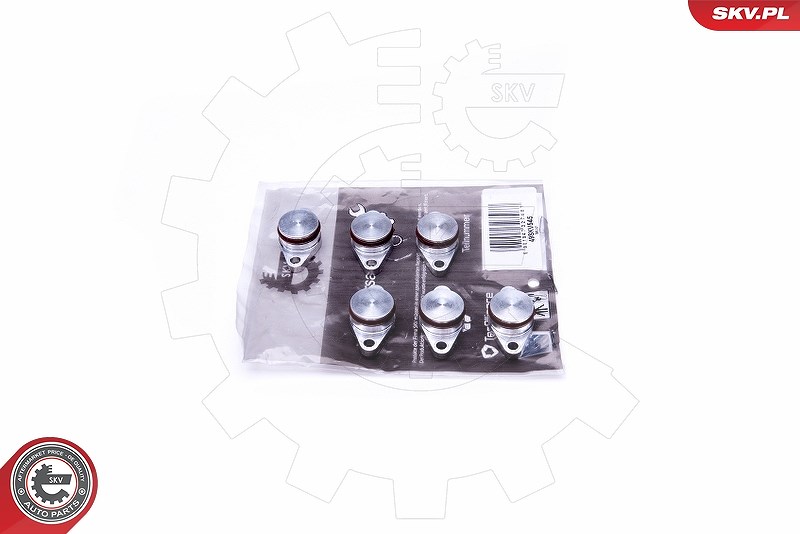 Esen Skv Reparatursatz, Saugrohrmodul [Hersteller-Nr. 49SKV545] für BMW