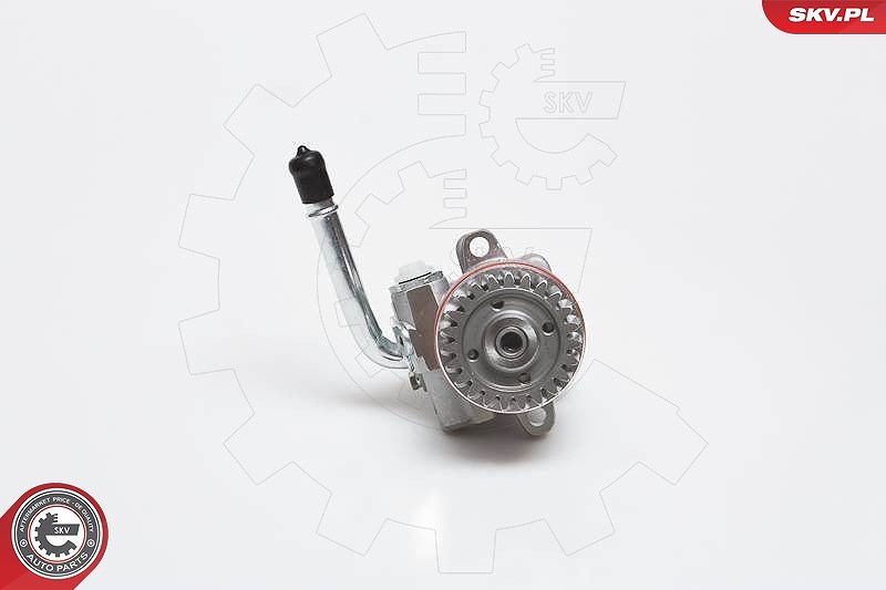 Esen Skv Hydraulikpumpe, Lenkung [Hersteller-Nr. 10SKV136] für VW