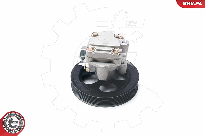 Esen Skv Hydraulikpumpe, Lenkung [Hersteller-Nr. 10SKV216] für Mitsubishi