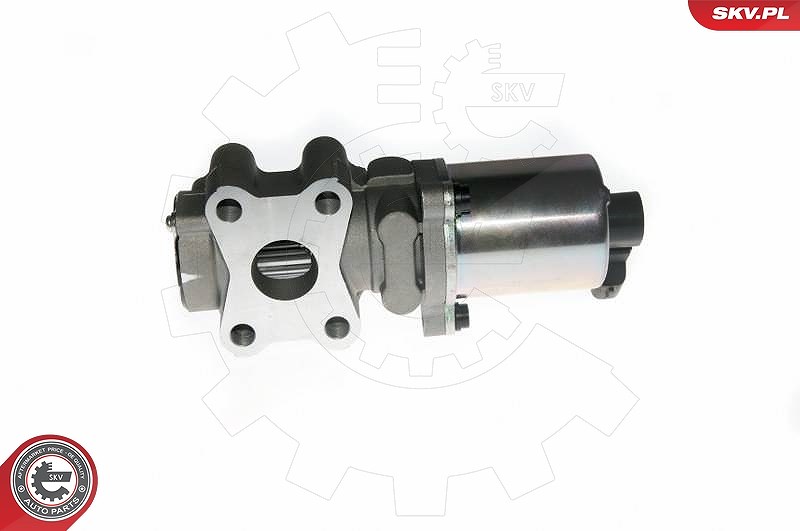 Esen Skv AGR-Ventil [Hersteller-Nr. 14SKV088] für Toyota