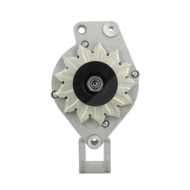 Bv Psh Lichtmaschine 65A [Hersteller-Nr. 305.023.065.010] für VW