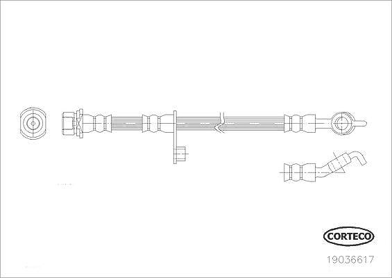 Corteco Bremsschlauch ERSTAUSRÜSTERQUALITÄT [Hersteller-Nr. 19036617] für Toyota