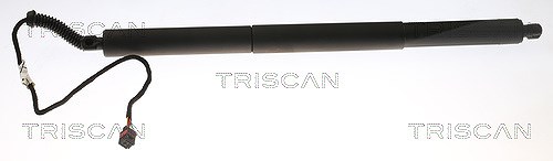 Triscan Gasfeder, Koffer-/Laderaum [Hersteller-Nr. 871029302] für Audi