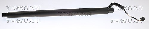 Triscan Gasfeder, Koffer-/Laderaum [Hersteller-Nr. 871011313] für BMW