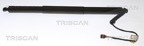Triscan Gasfeder, Koffer-/Laderaum [Hersteller-Nr. 871029305] für VW