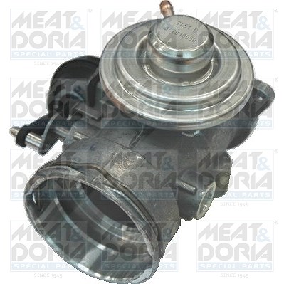 Meat & Doria AGR-Ventil [Hersteller-Nr. 88119] für Skoda, VW, Seat