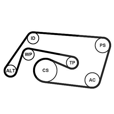 Continental Ctam Keilrippenriemensatz [Hersteller-Nr. 6PK2260K2] für Mercedes-Benz