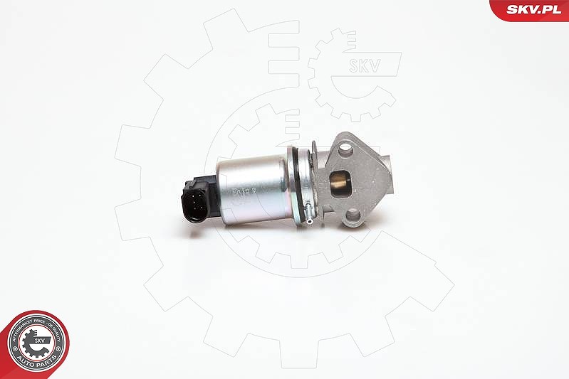 Esen Skv AGR-Ventil [Hersteller-Nr. 14SKV029] für VW, Audi, Seat