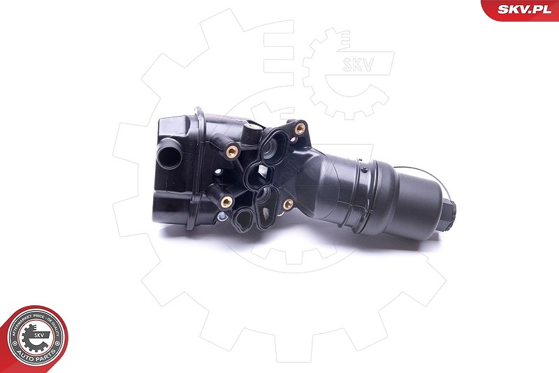Esen Skv Gehäuse, Ölfilter [Hersteller-Nr. 31SKV051] für VW, Skoda, Audi, Seat
