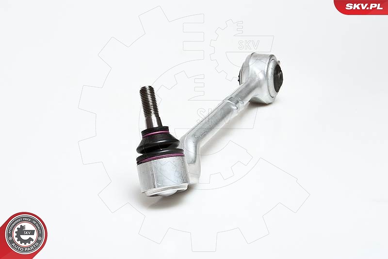 Esen Skv Lenker, Radaufhängung [Hersteller-Nr. 04SKV002] für BMW