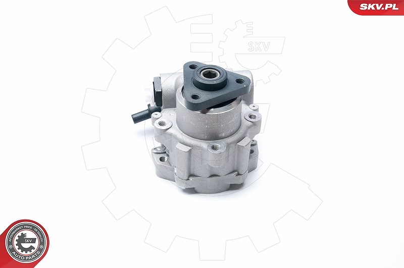 Esen Skv Hydraulikpumpe, Lenkung [Hersteller-Nr. 10SKV221] für Lancia, Fiat, Peugeot