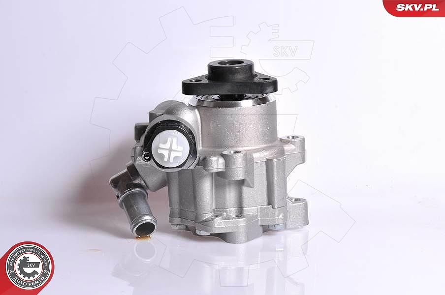 Esen Skv Hydraulikpumpe, Lenkung [Hersteller-Nr. 10SKV167] für Audi
